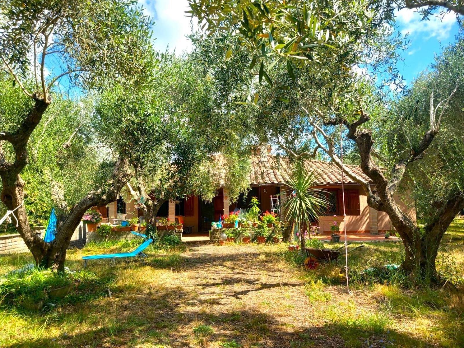 All'Ombra Degli Olivi Pisciarelli Luaran gambar