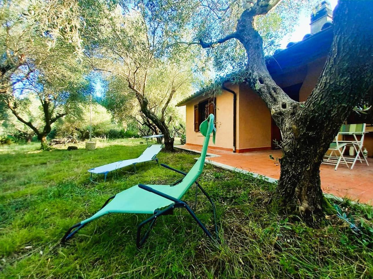 All'Ombra Degli Olivi Pisciarelli Luaran gambar